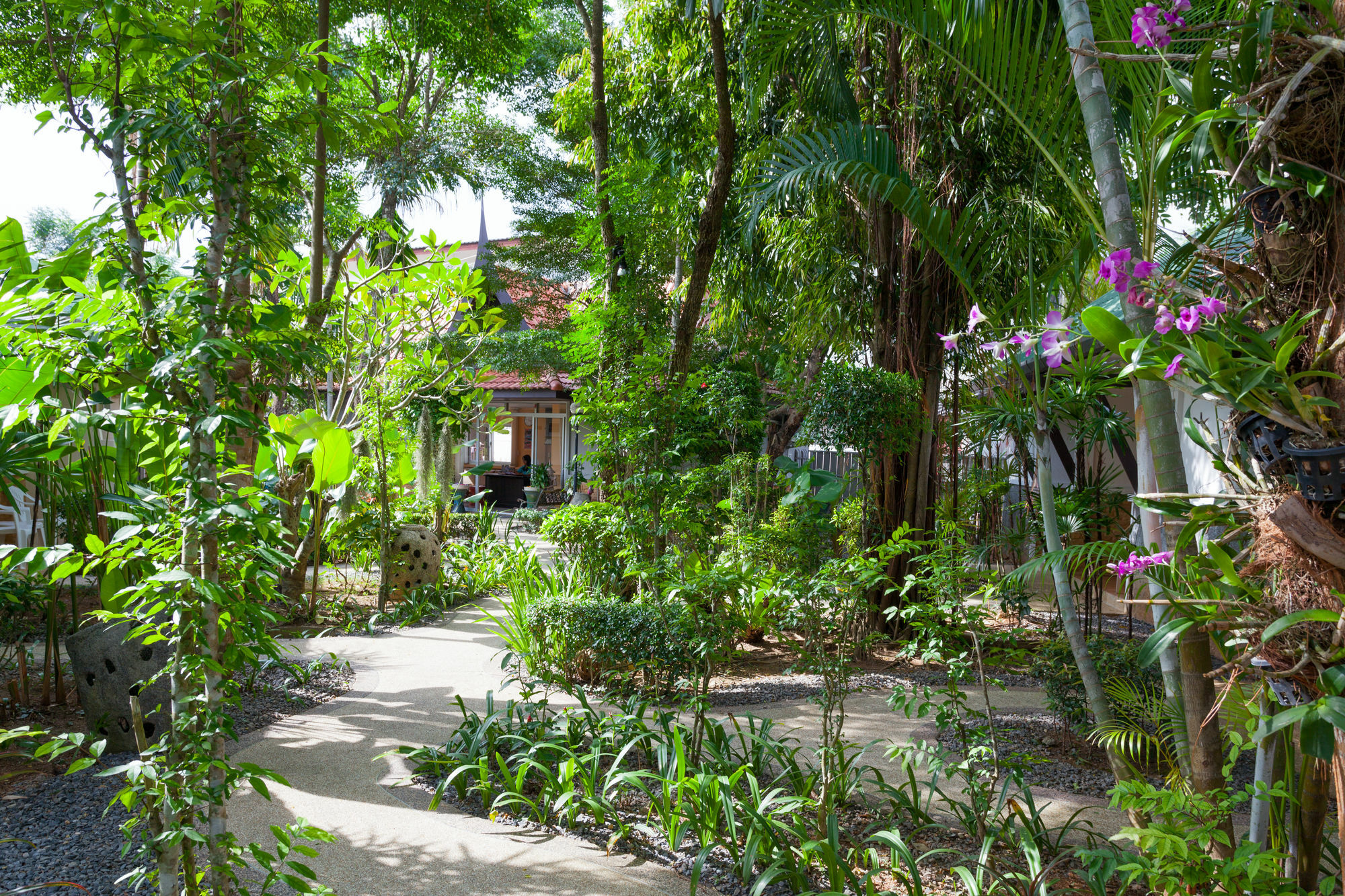בנג טאו ביץ' Bangtao Kanita House מראה חיצוני תמונה